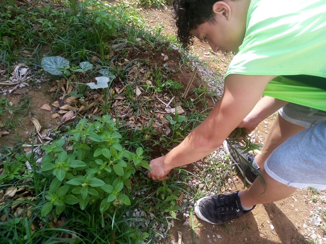 Educação Ambiental 2